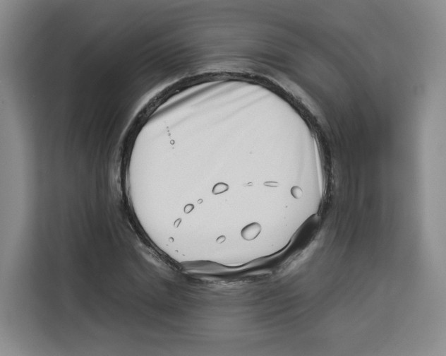 X0000113910830200910221332
