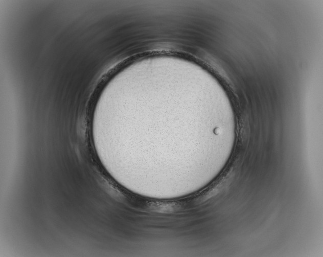 X0000113910831200910221332