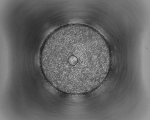 X0000113910832200910221332