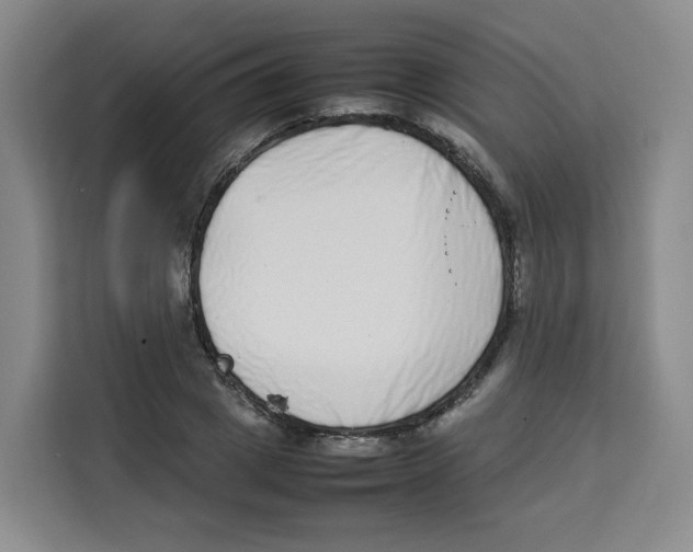X0000113910833200910221332