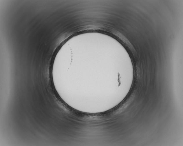 X0000113910834200910221332