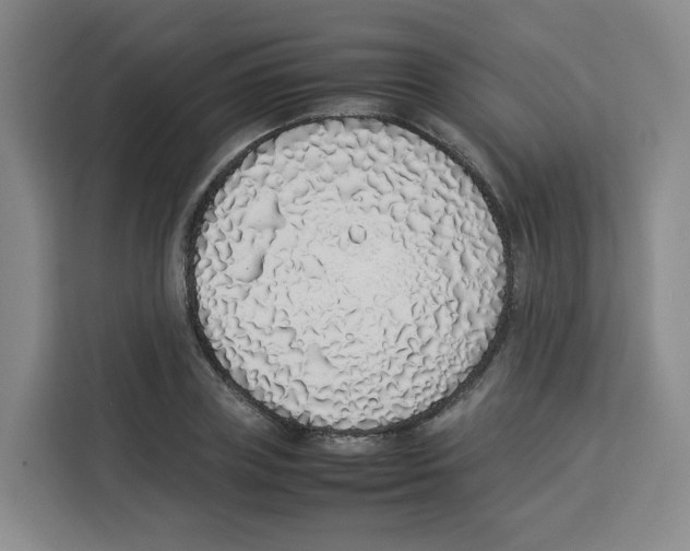 X0000113910835200910221332