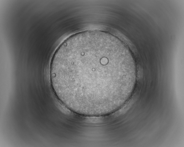 X0000113910836200910221332