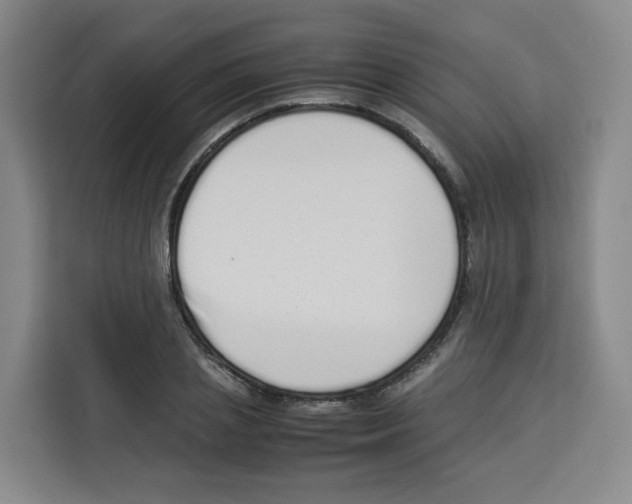 X0000113910837200910221332