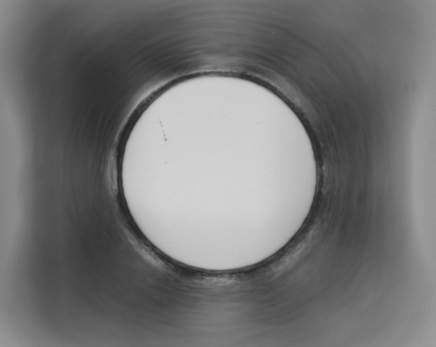 X0000113910838200910221332