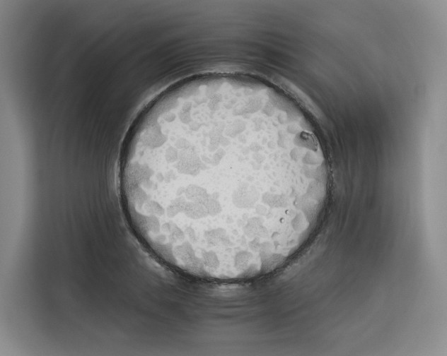 X0000113910839200910221332