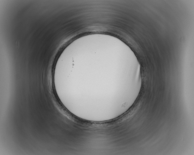 X0000113910840200910221332