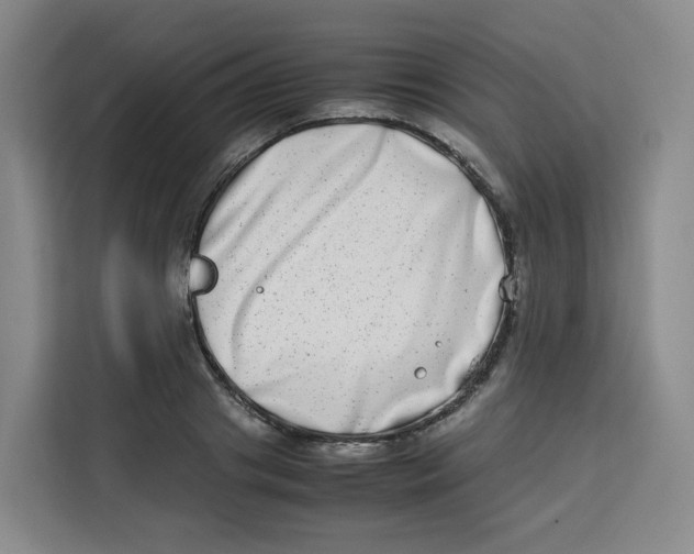 X0000113910841200910221332