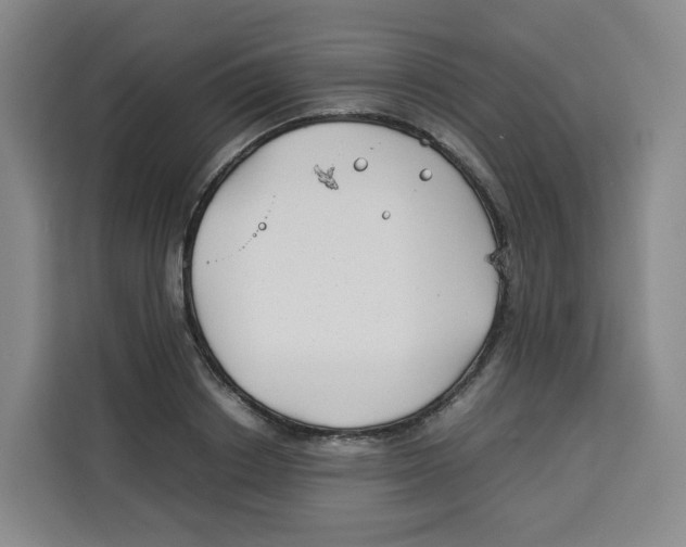 X0000113910842200910221332