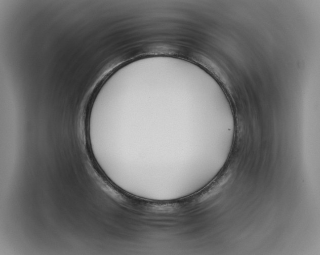X0000113910843200910221332
