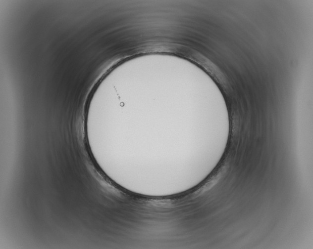 X0000113910844200910221332