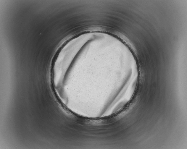 X0000113910845200910221332