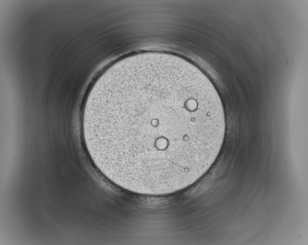 X0000113910848200910221332