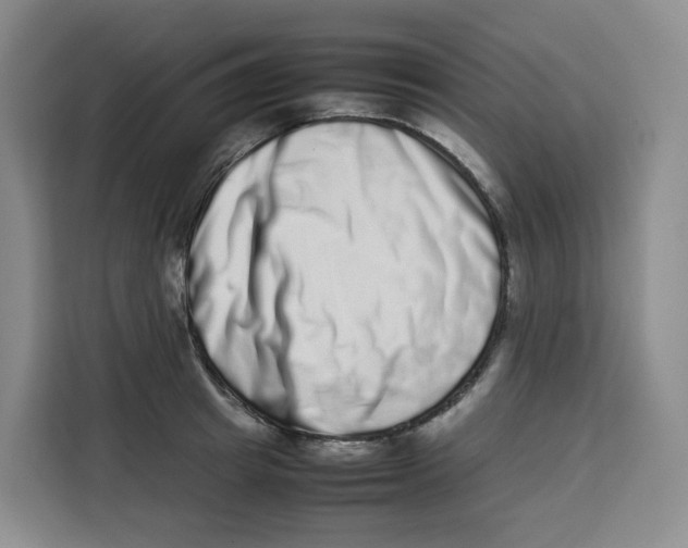 X0000113910849200910221332
