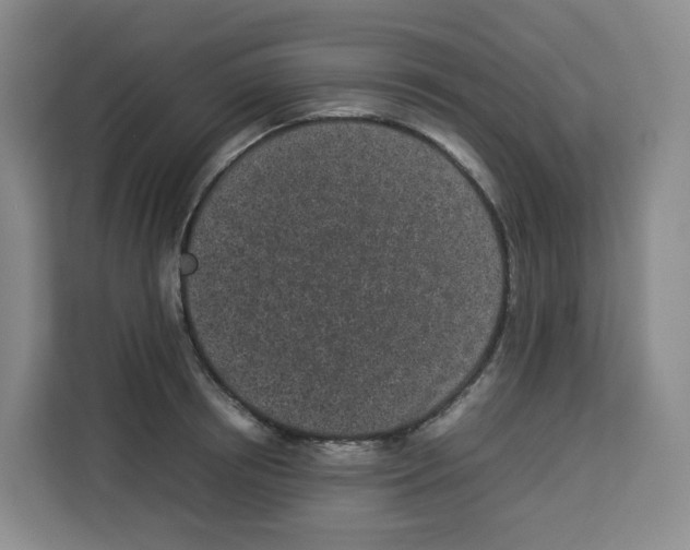 X0000113910850200910221332