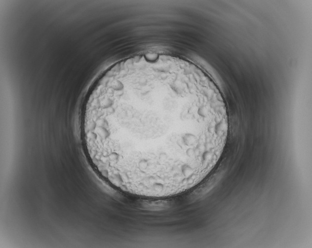 X0000113910851200910221332