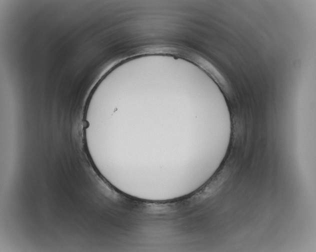 X0000113910852200910221332