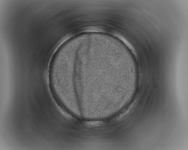 X0000113910853200910221332