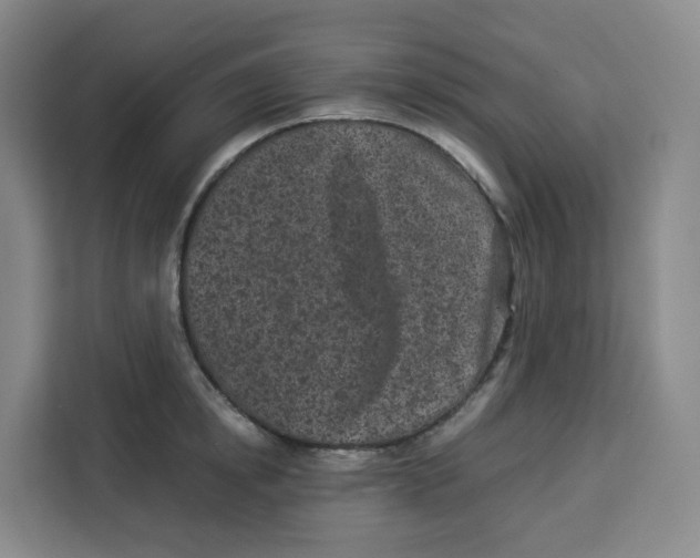 X0000113910854200910221332