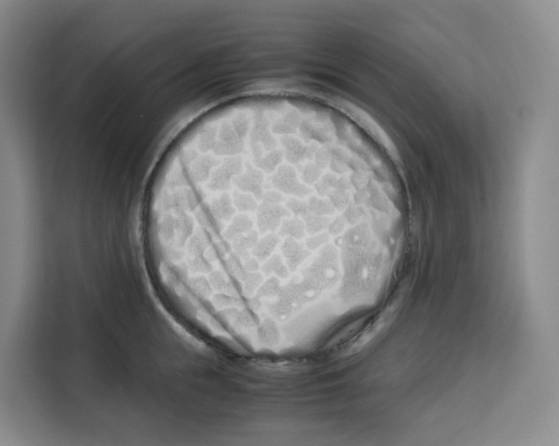 X0000113910855200910221332