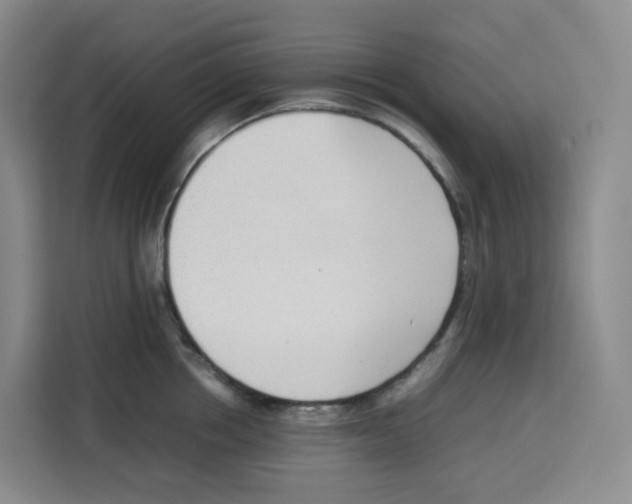X0000113910858200910221332