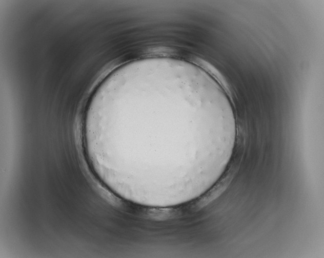 X0000113910859200910221332