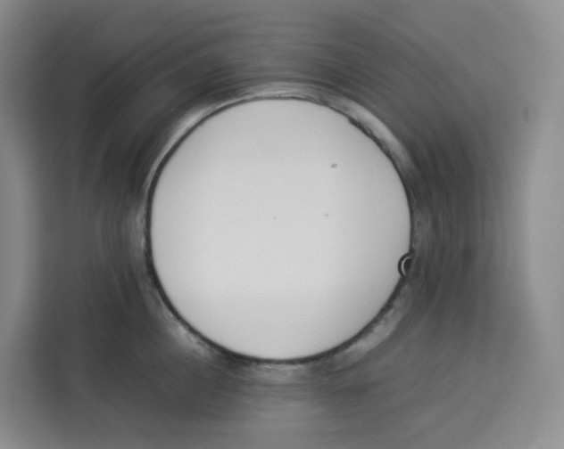 X0000113910860200910221332
