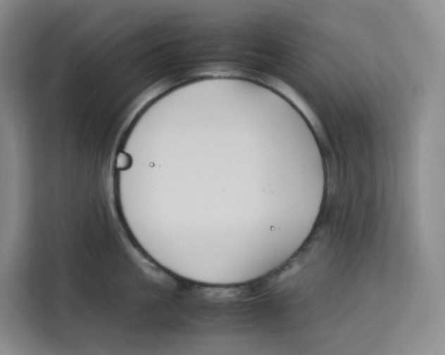X0000113910861200910221332