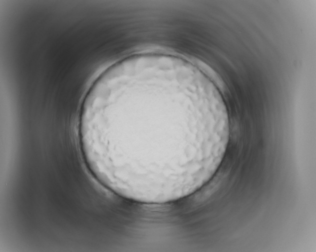 X0000113910863200910221332