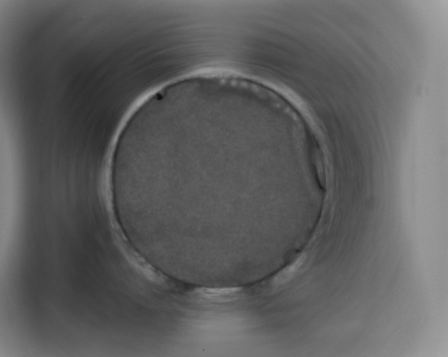 X0000113910864200910221332