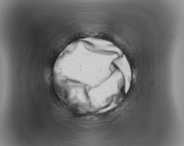 X0000113910867200910221331