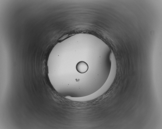 X0000113910868200910221331