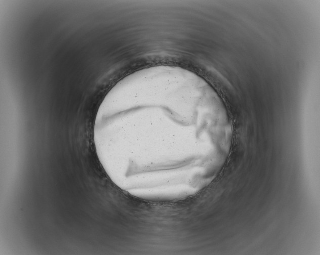 X0000113910870200910221331