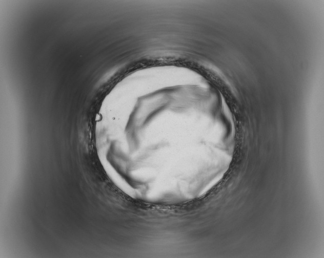 X0000113910871200910221331