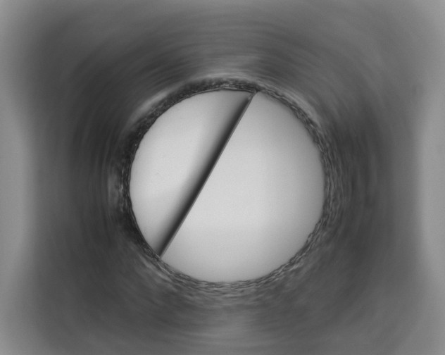 X0000113910872200910221331