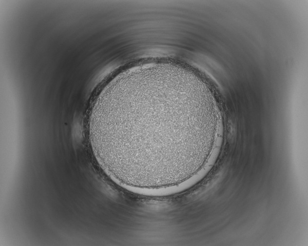 X0000113910874200910221331