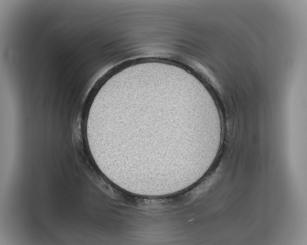 X0000113910875200910221331