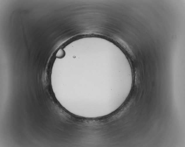X0000113910876200910221331