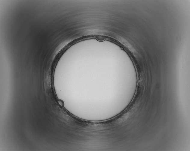 X0000113910877200910221331