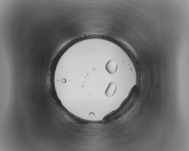 X0000113910878200910221331