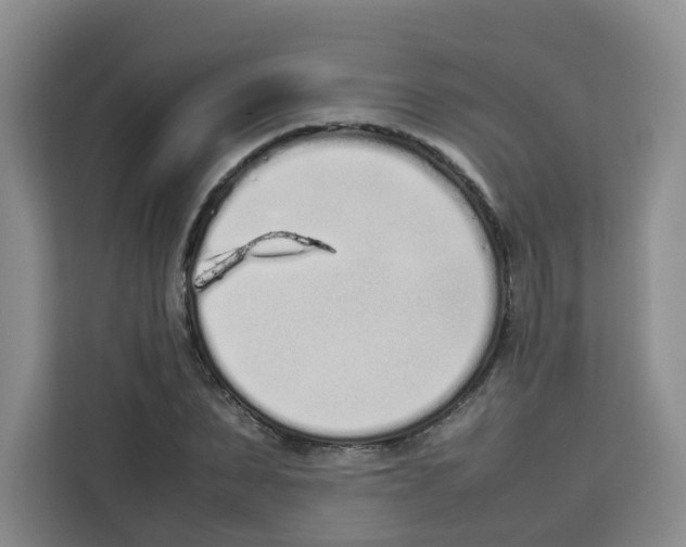 X0000113910879200910221331