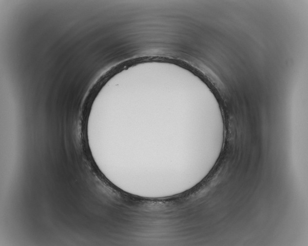 X0000113910880200910221331