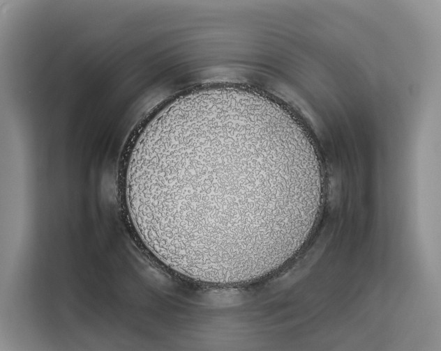 X0000113910882200910221331