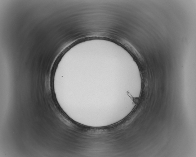 X0000113910884200910221331