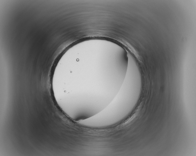 X0000113910885200910221331