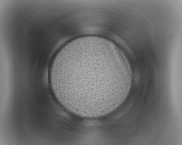 X0000113910886200910221331