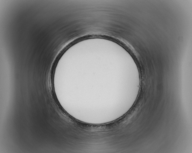 X0000113910887200910221331