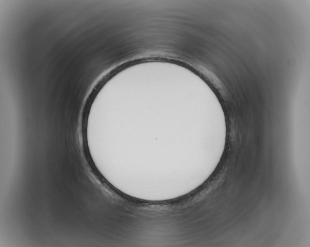 X0000113910888200910221331
