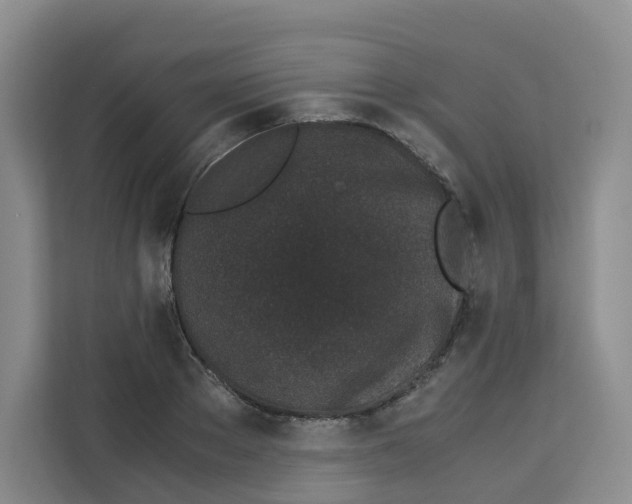X0000113910889200910221331