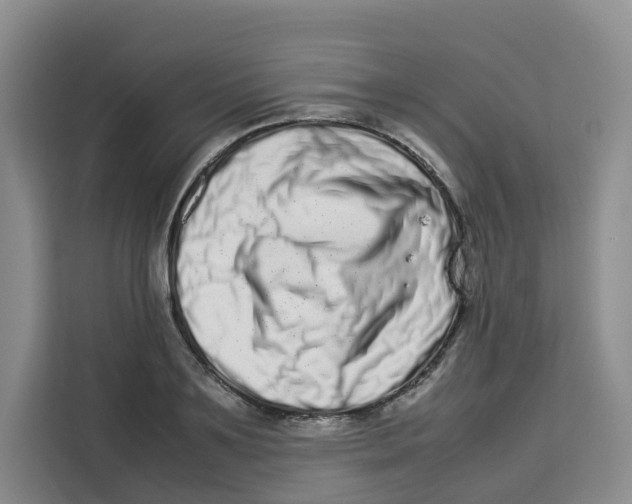 X0000113910891200910221331